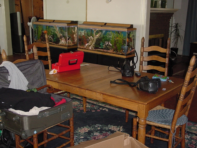 Dining Room 1.jpg